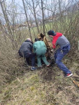 Čistilna Ts Pivka 7